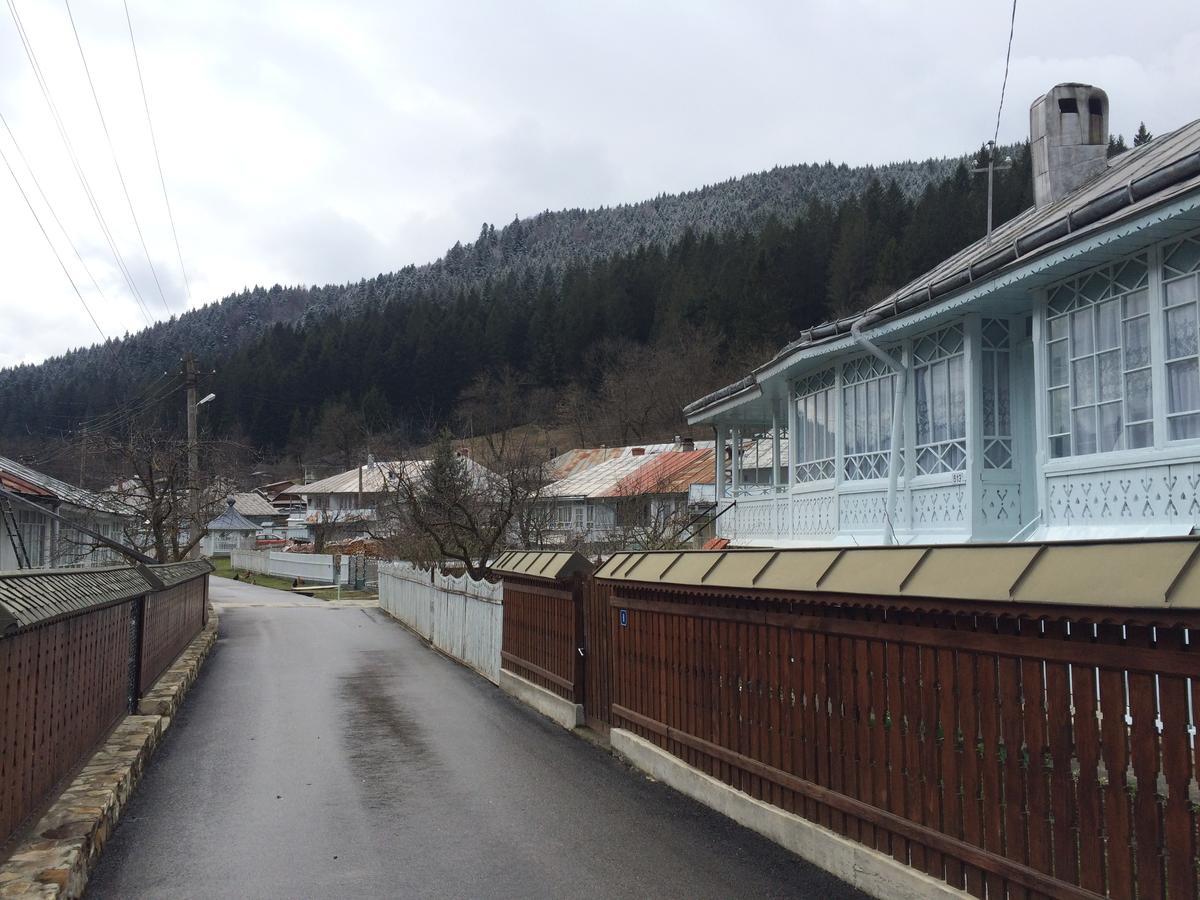 Pensiunea Casa Anca Agapia Kültér fotó
